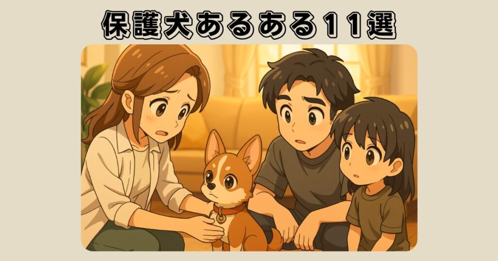 保護犬あるある11選|よくある悩みと特徴をまとめて解説!
