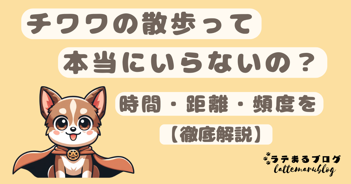 チワワの散歩は要らないの?散歩の時間・距離・頻度を徹底解説