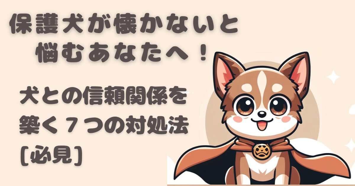 保護犬が懐かない時のあなたへ！犬との信頼関係を築く７つの方法