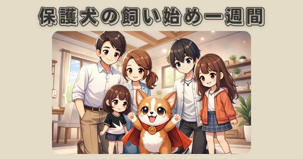 保護犬の飼い始め一週間｜初心者が失敗しない過ごし方