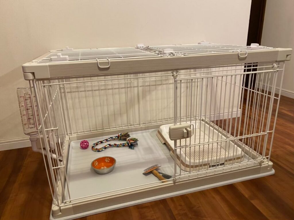 保護犬チワワのラテまるのために準備したケージ環境