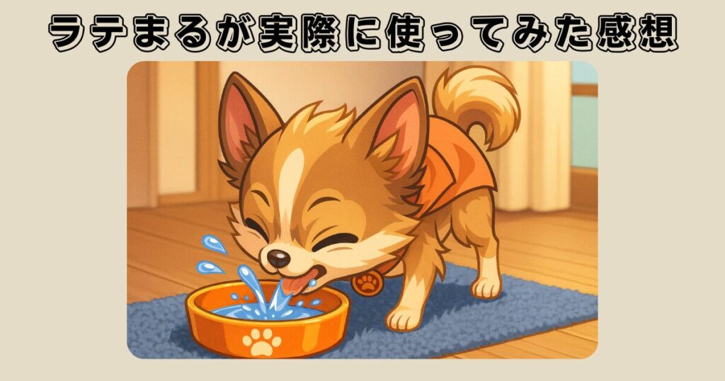 【体験レビュー】ラテまるが実際に使ってみた感想
