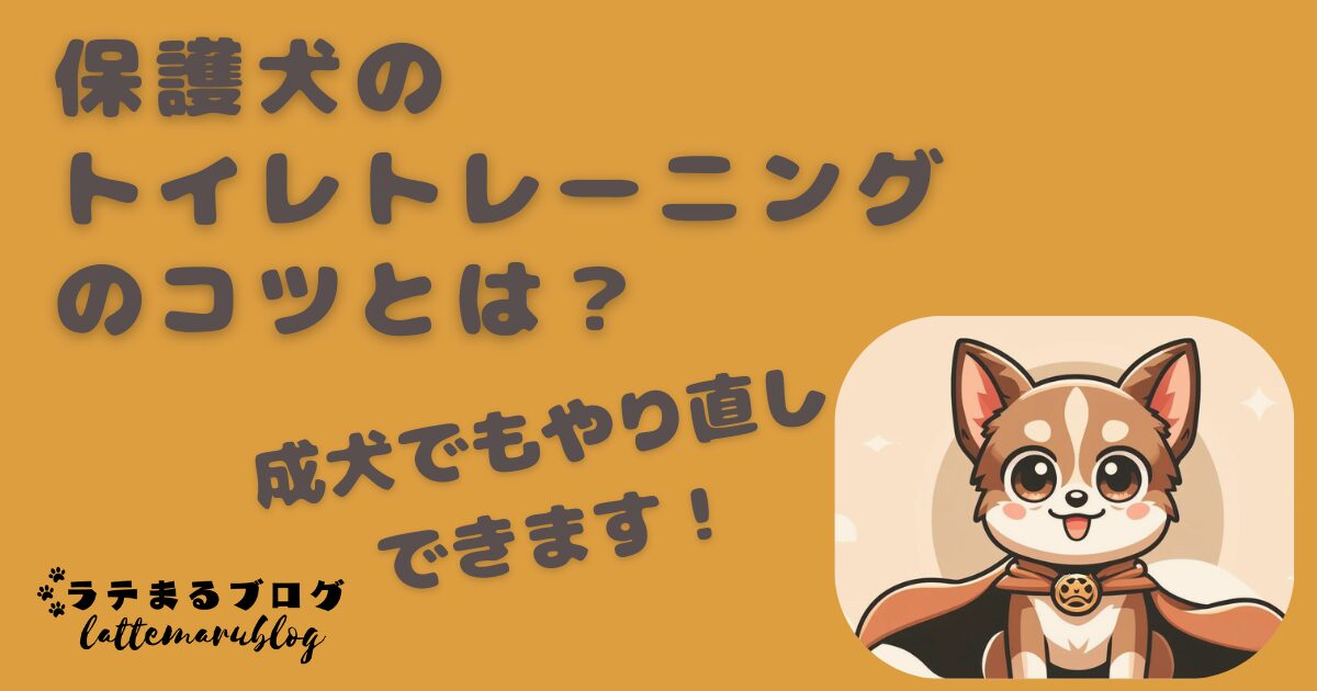 保護犬のトイレトレーニングのコツとは？　成犬でもやり直しできます！