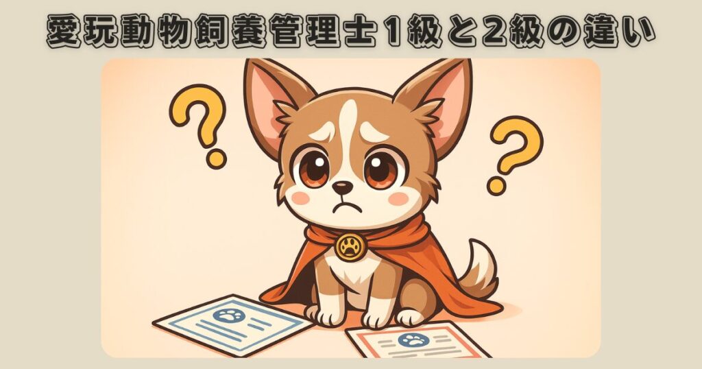 愛玩動物飼養管理士1級と2級の違いに迷っている保護犬チワワのラテまる
