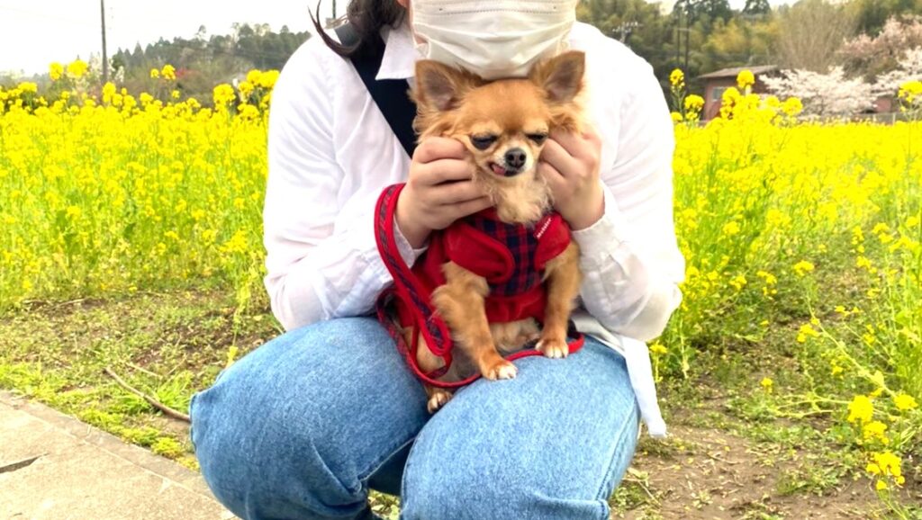 お姉ちゃんと一緒の可愛すぎる愛犬