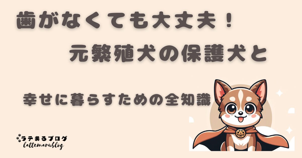 繁殖犬　保護犬　歯がなくても大丈夫