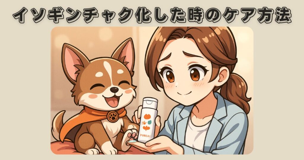 肉球がイソギンチャク化したときに自宅でできるケア方法