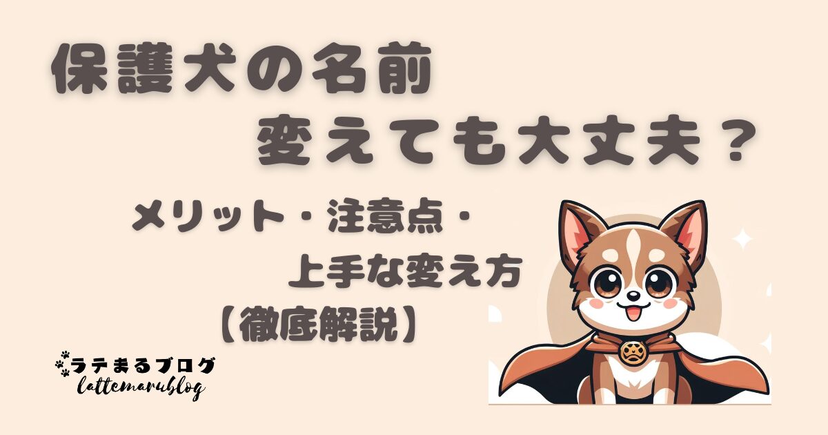 保護犬の名前変えても大丈夫？メリット・注意点・上手な変え方【徹底解説】