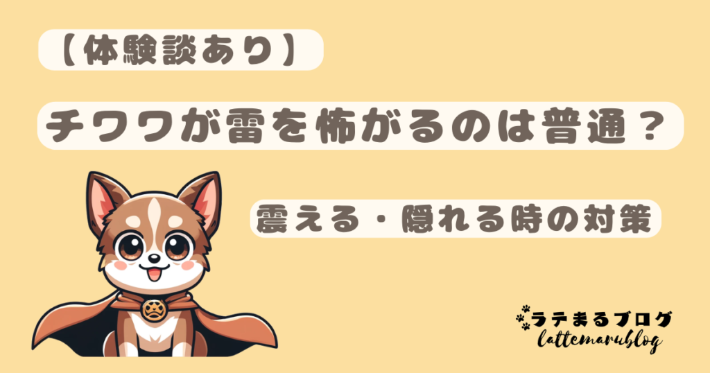 【体験談あり】チワワが雷を怖がるのは普通？震える・隠れる時の対策