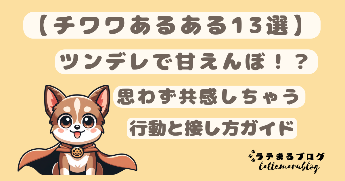 チワワあるある13選
