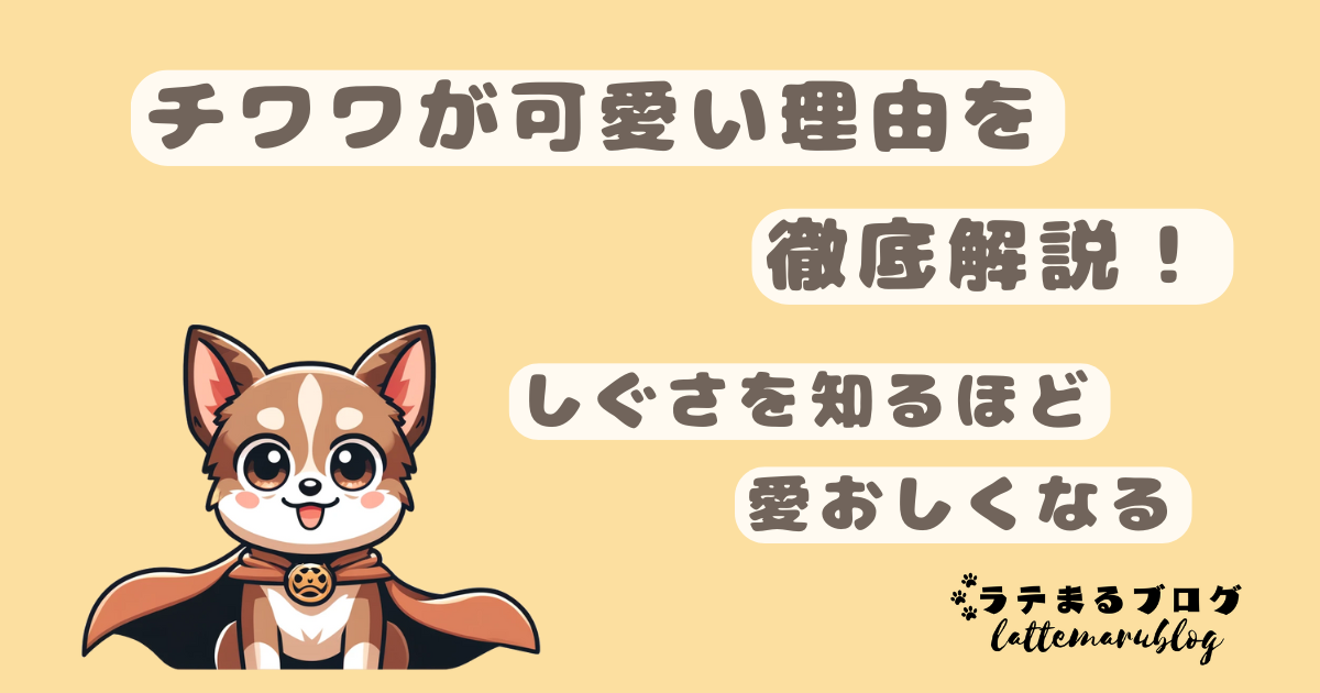 チワワが可愛い理由を徹底解説｜しぐさを知るほど愛おしくなる