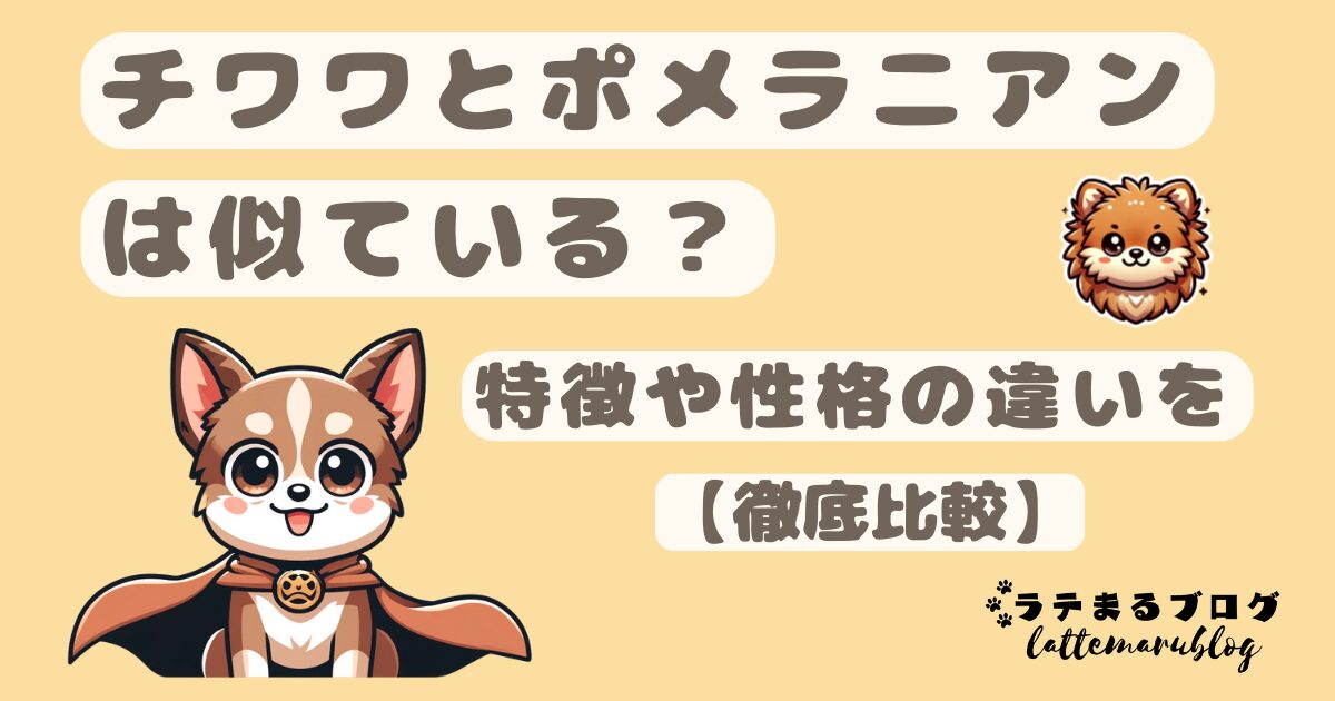 チワワとポメラニアンは似ているの？特徴や性格の違い