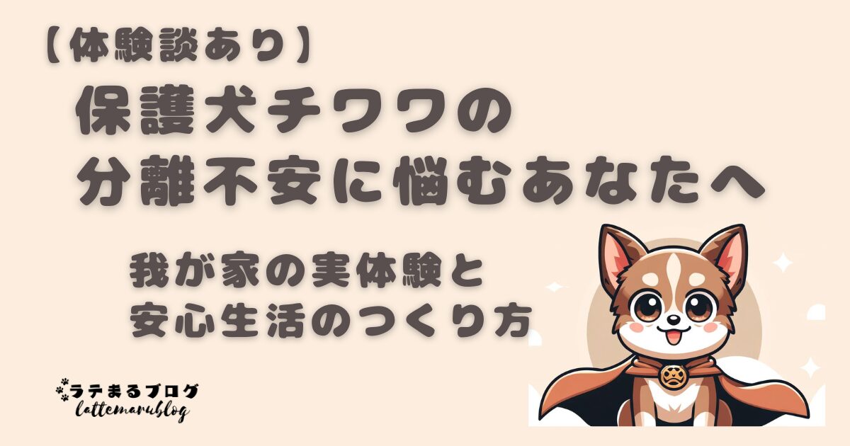 【体験談あり】保護犬チワワの分離不安に悩むあなたへ！我が家の実体験と安心生活のつくり方