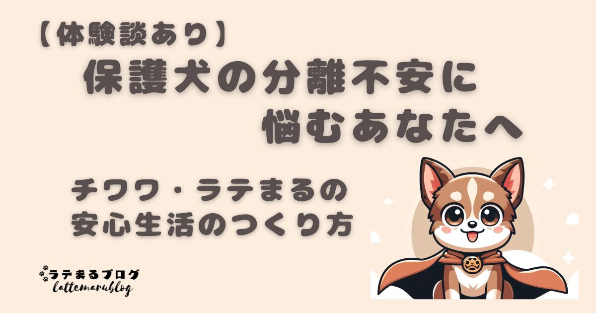 保護犬・チワワの分離不安の対策