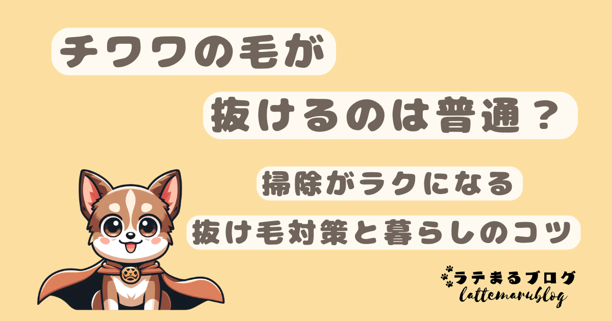 チワワの毛が抜けるのは普通?掃除がラクになる抜け毛対策と暮らしのコツ