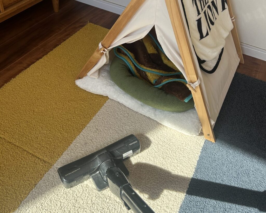 チワワの抜け毛を掃除機で掃除している様子(抜け毛対策は完璧を目指さない工夫が大切)