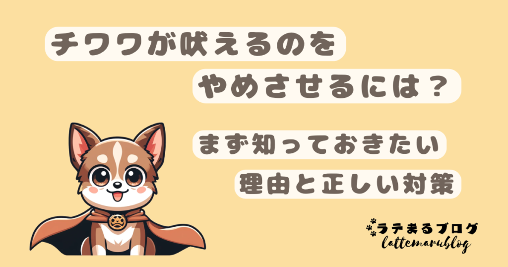チワワが吠えるのをやめさせるには？まず知っておきたい理由と正しい対策