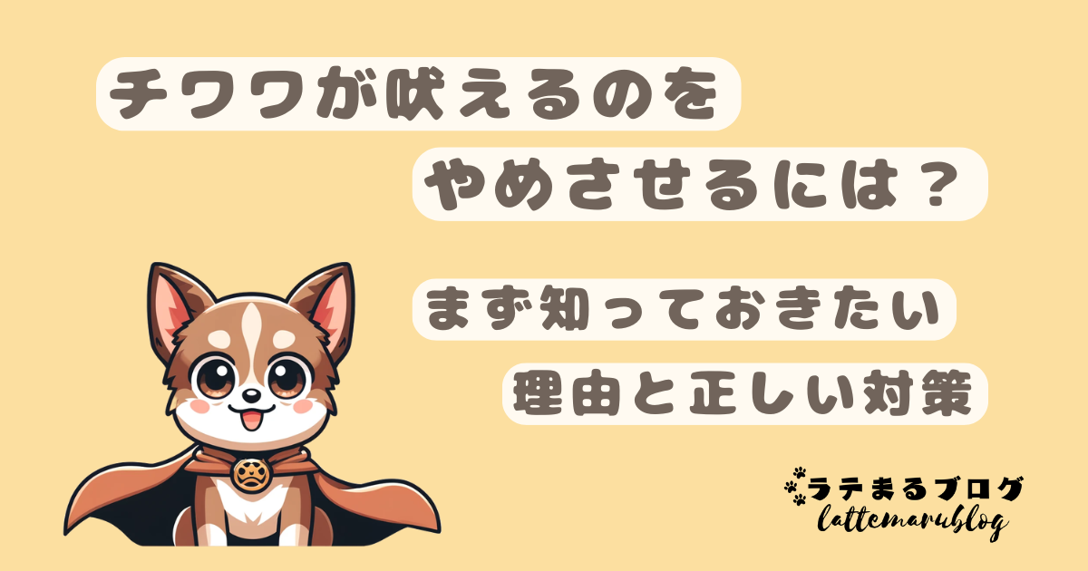 チワワが吠えるのをやめさせるには？まず知っておきたい理由と正しい対策