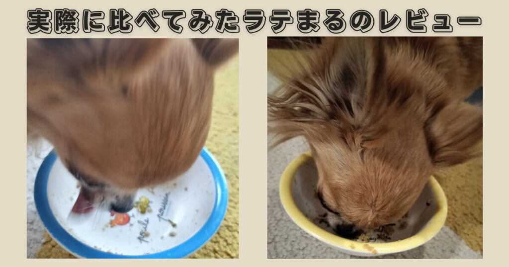 ココグルメとペトコトフーズの食いつきレビュー