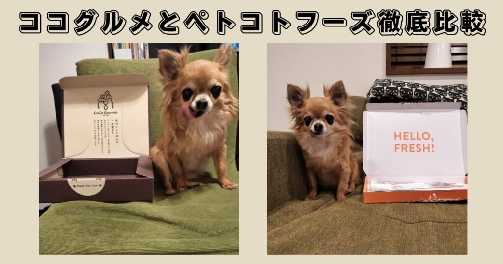 ココグルメとペトコトフーズを徹底比較