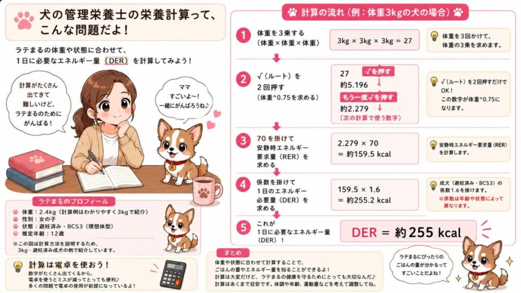 犬のRERとDERを求める栄養計算の流れをまとめたイラスト
