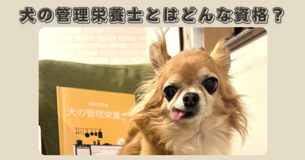 犬の管理栄養士とはどんな資格?