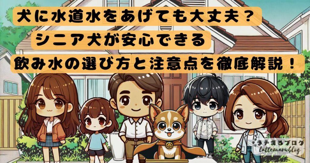 犬に水道水をあげても大丈夫?シニア犬が安心できる飲み水の選び方と注意点