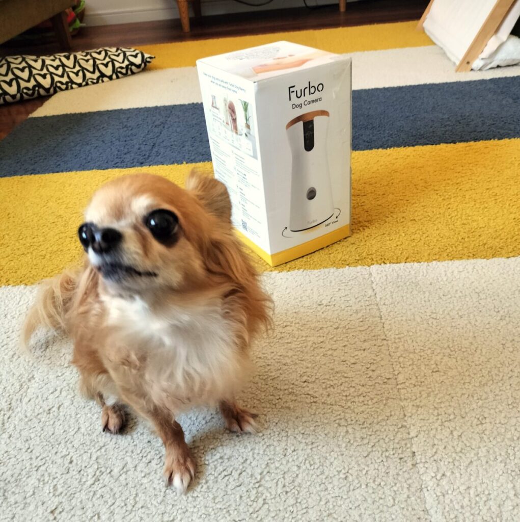 FurboïŒãã¡ãŒãïŒã®ç®±ãšãã¯ã¯ã®ã©ããŸã
