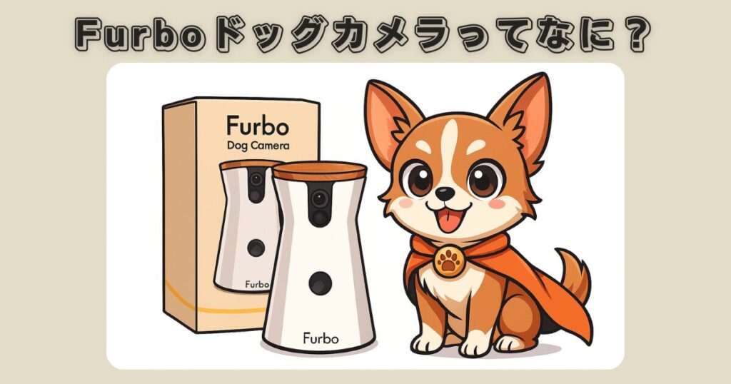 FurboïŒãã¡ãŒãïŒããã°ã«ã¡ã©ã£ãŠãªã«ïŒå
±åãå®¶åºã«ãŽã£ããã®çç±