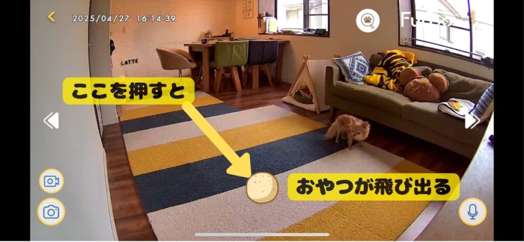 Furbo(ファーボ)のおやつが飛び出す機能の説明画像