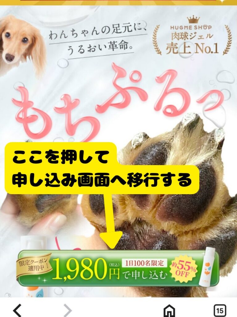 FUREAi（ふれあい） 肉球ジェル公式サイトの購入ボタン画面