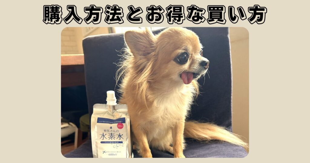 獣医さんの水素水の購入方法とお得な買い方