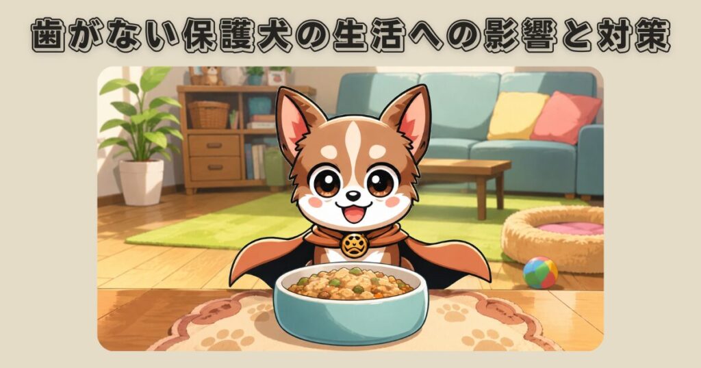歯がない保護犬チワワのラテまるがご飯を前に嬉しそうにしている様子
