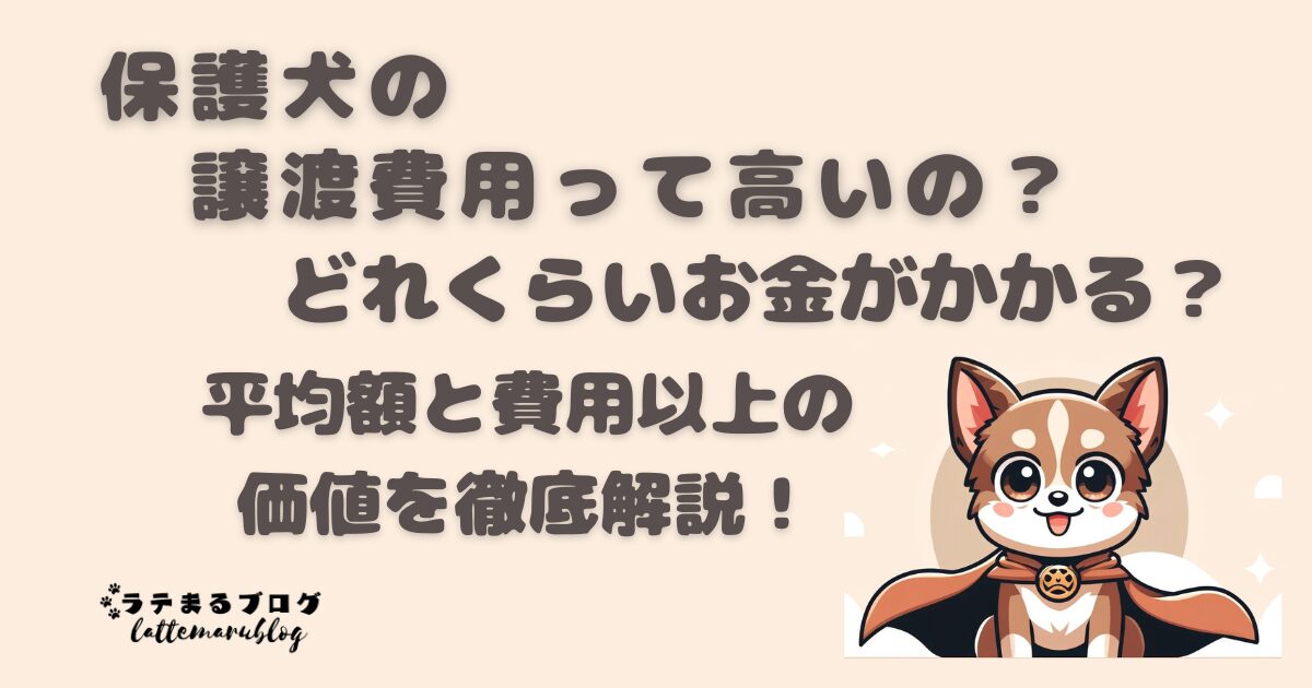 保護犬の譲渡費用って高い？どれくらいお金がかかる？平均額と“費用以上の価値”を徹底解説！