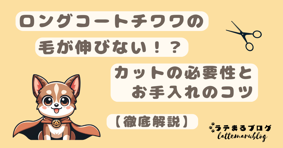 ロングコートチワワ毛が伸びない　カットの必要性とお手入れのコツ