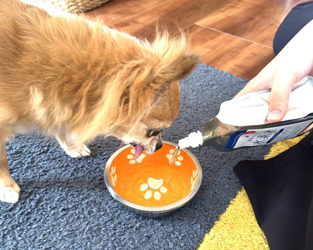 獣医さんの水素水をお皿に注いでいる様子