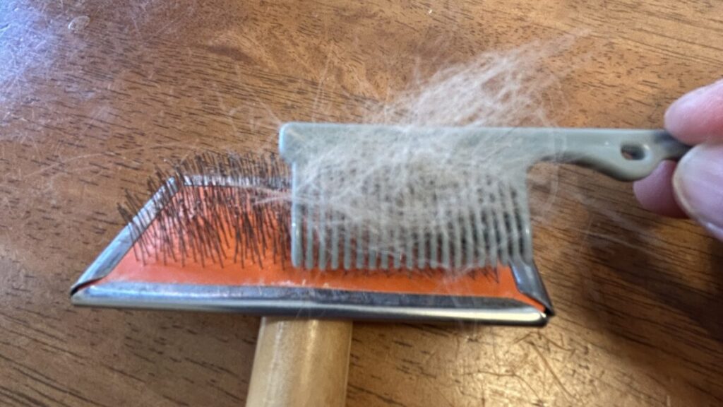 チワワの抜け毛がついたスリッカーブラシを掃除している様子(ロングコートでもしっかり抜ける)