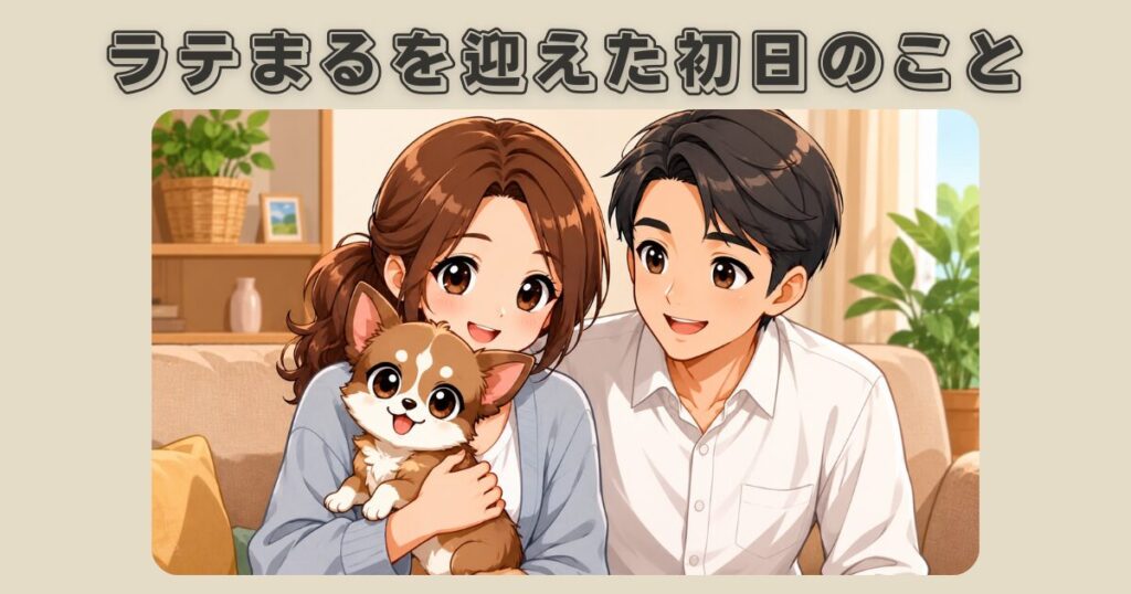ラテまるを迎えた初日のこと|保護犬が家族になった特別な一日