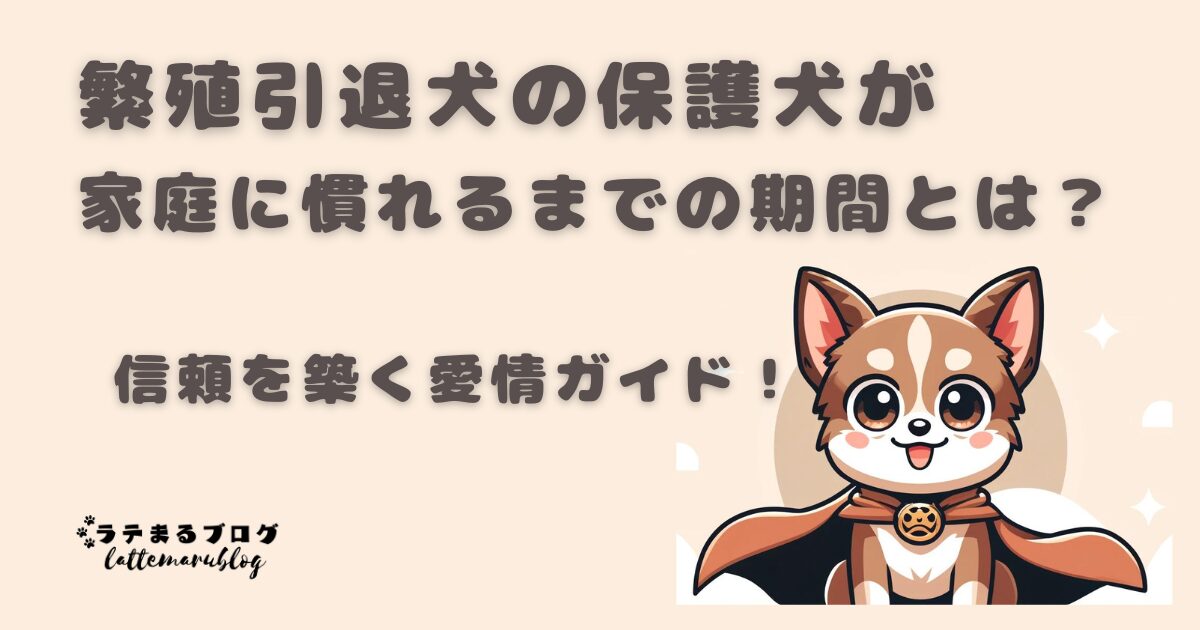 繁殖引退犬の保護犬が家庭に慣れるまでの期間