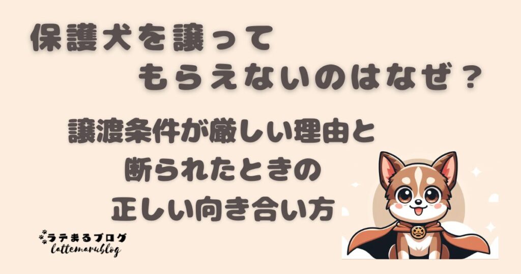 保護犬を譲ってもらえないのはなぜ？譲渡条件が厳しい理由と断られたときの正しい向き合い方