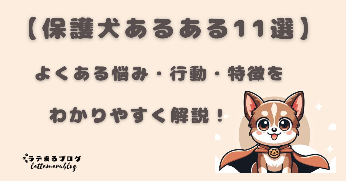 保護犬あるある11選　よくある悩み・行動・特徴をわかりやすく解説！
