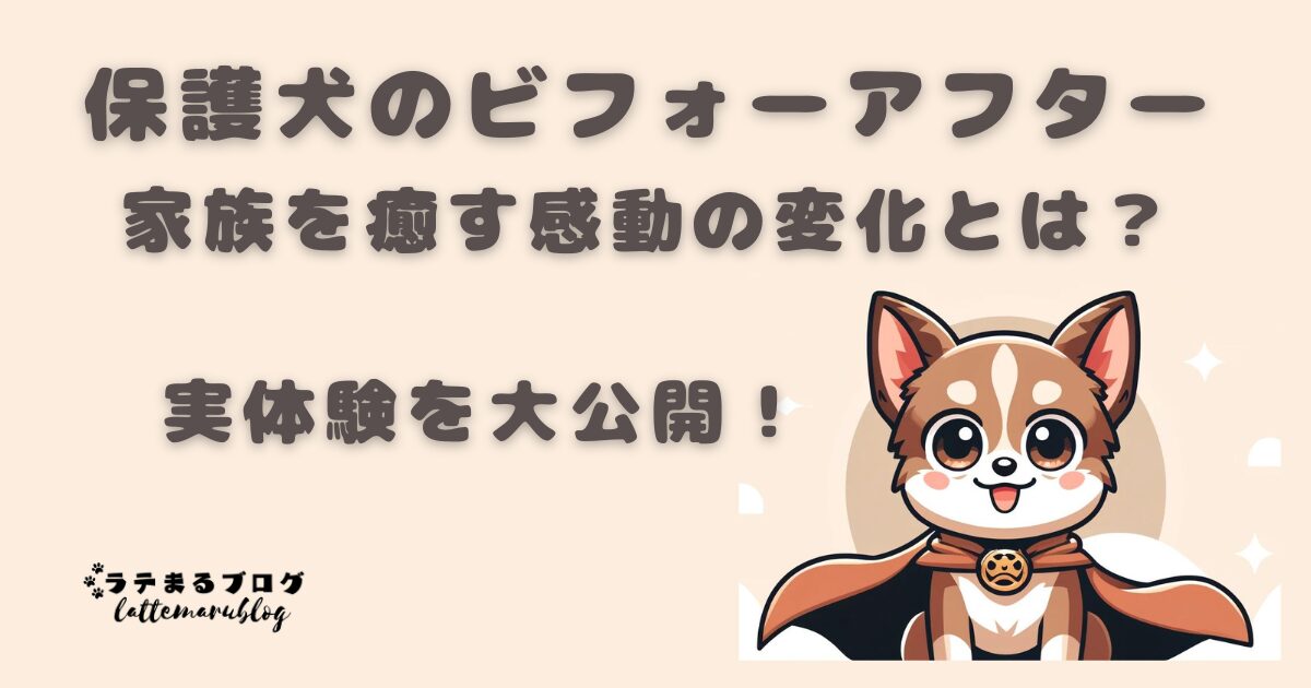 保護犬ビフォーアフター