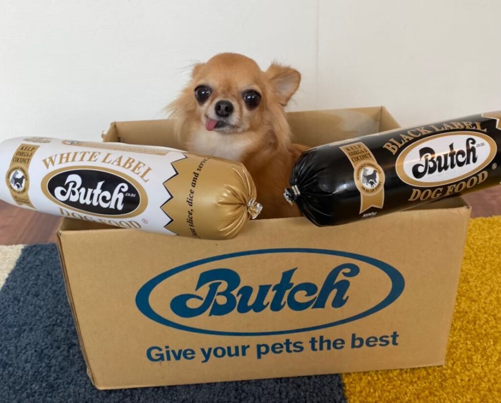 ブッチを食べていた頃の保護犬チワワのラテまる