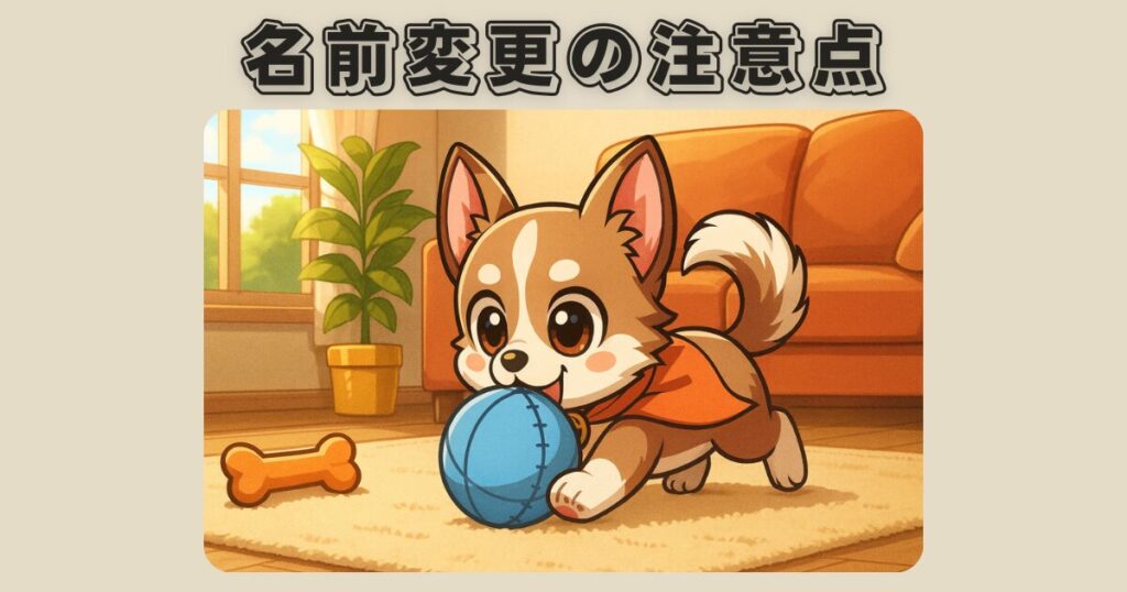 保護犬の名前変更時の注意点