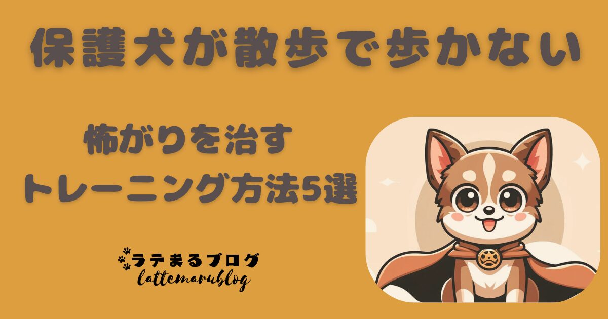 保護犬が散歩で歩かない！怖がりを治すトレーニング方法