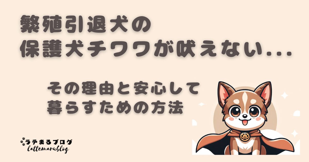 繁殖引退犬の保護犬チワワが吠えない