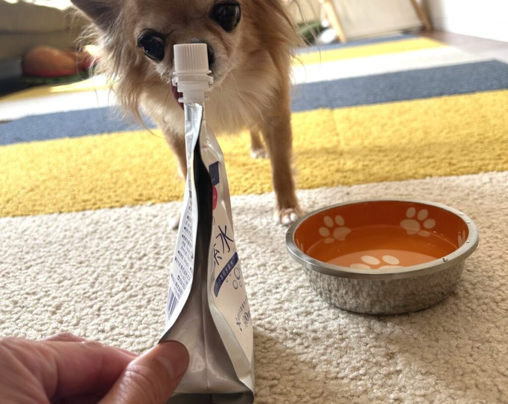 獣医さんの水素水の保存方法を説明する写真(キャップを閉める様子)