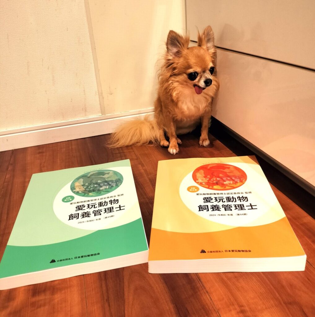 愛玩動物飼養管理士2級の教本と元保護犬チワワのラテまるの写真