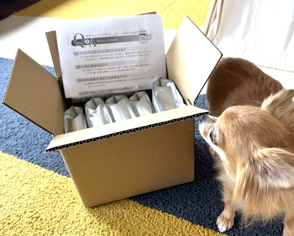 獣医さんの水素水が自宅に届いた時の様子