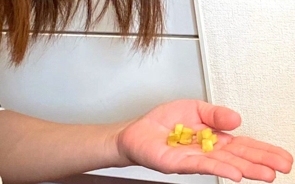 保護犬チワワの大好物のサツマイモを手であげている様子